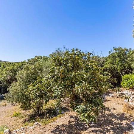 Vakantiehuis Holiday Tsi Carlo Bonifacio (Corsica)